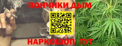 PSILOCYBIN Камышлов