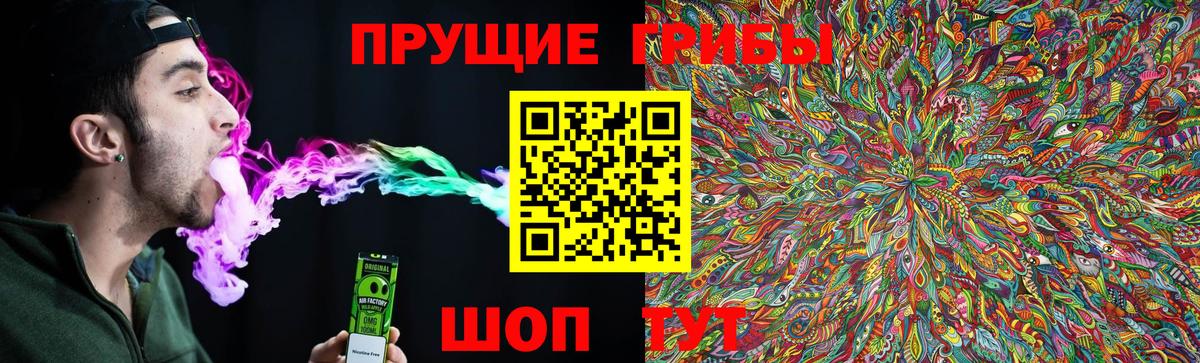 Псилоцибиновые грибы прущие грибы  Вход с VPN  Конаково 
