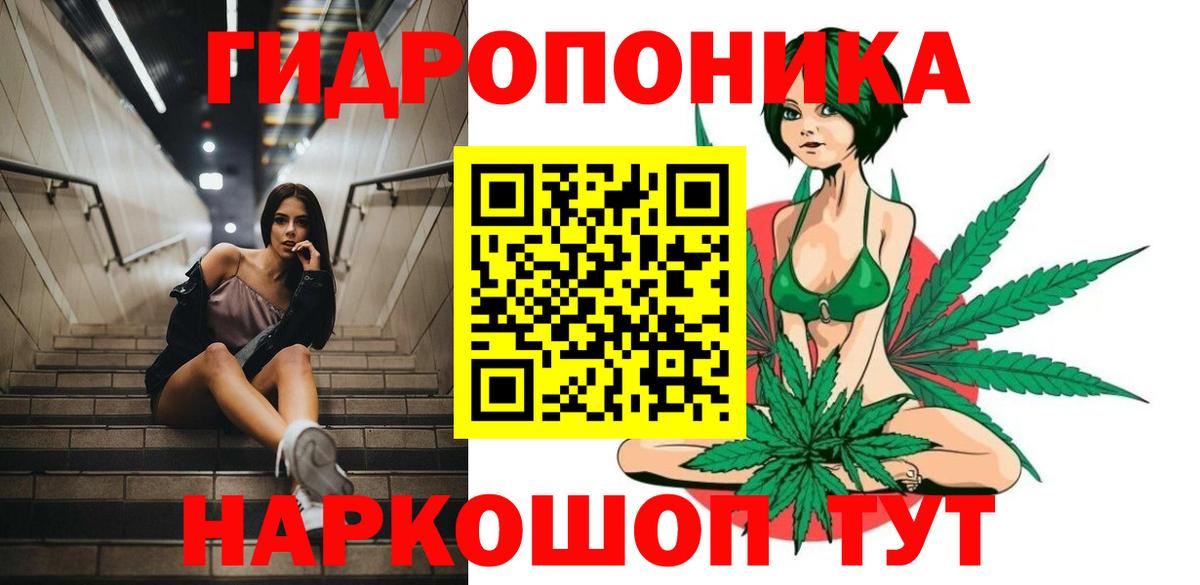 Каннабис сатива Конаково